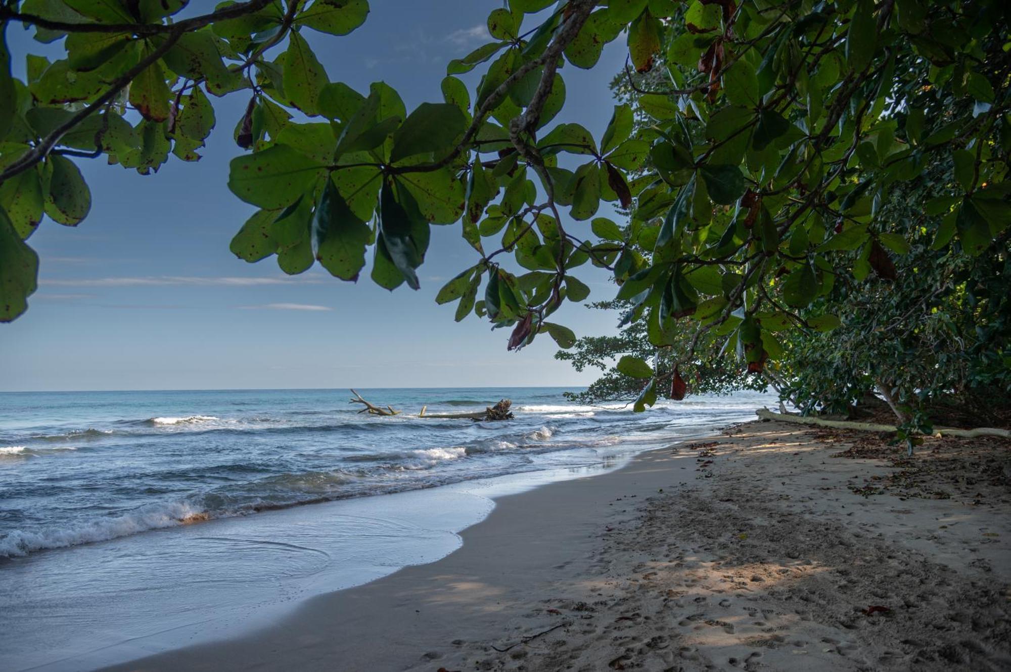 Le Cameleon Boutique Hotel Puerto Viejo de Talamanca Esterno foto