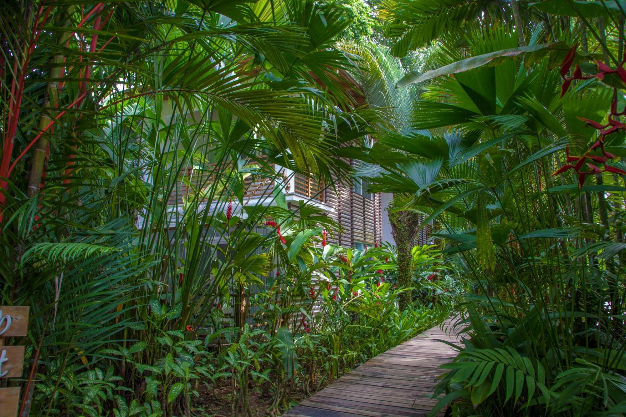 Le Cameleon Boutique Hotel Puerto Viejo de Talamanca Esterno foto
