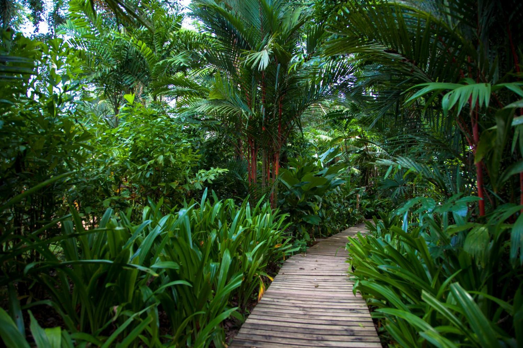 Le Cameleon Boutique Hotel Puerto Viejo de Talamanca Esterno foto