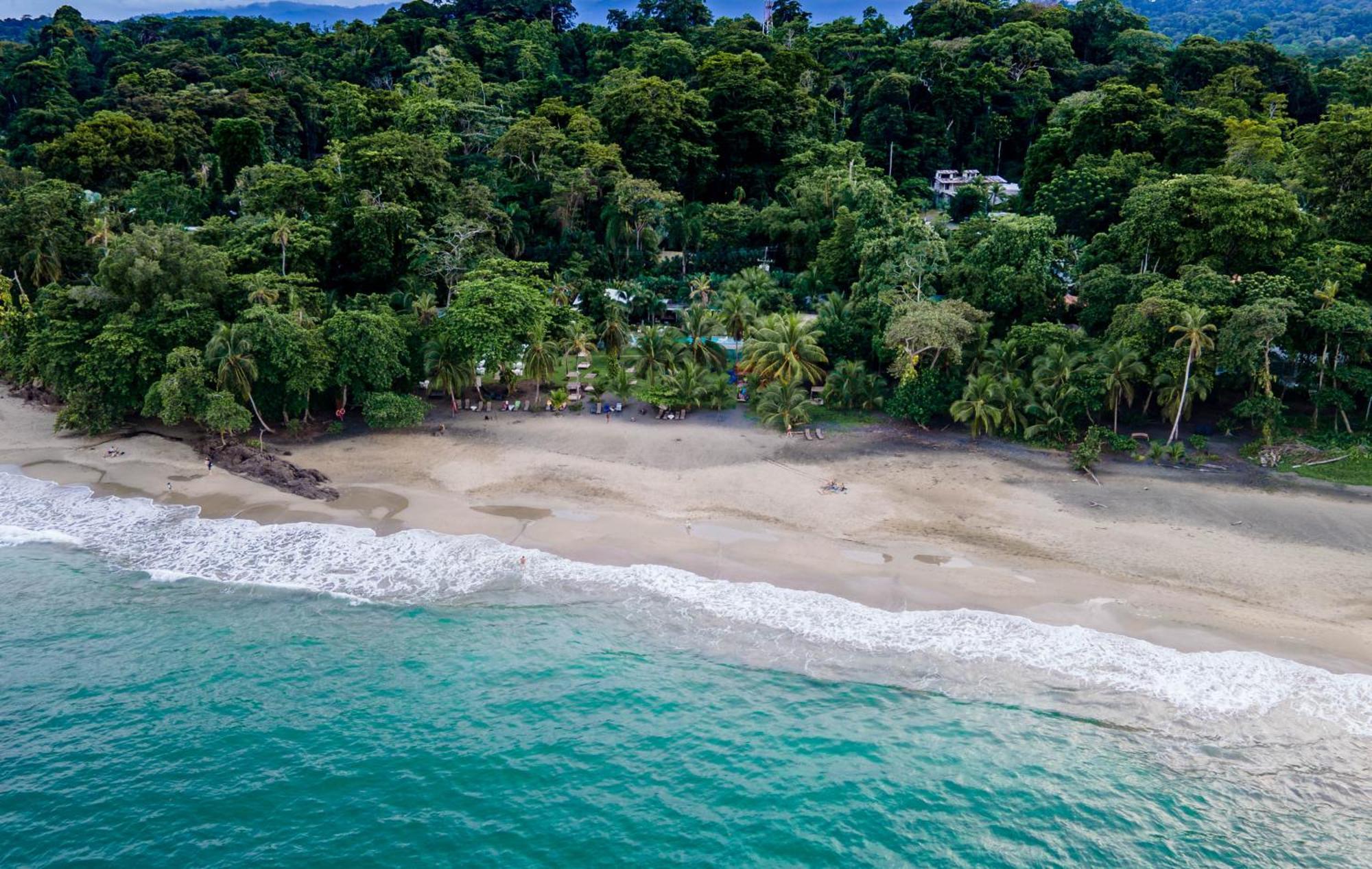 Le Cameleon Boutique Hotel Puerto Viejo de Talamanca Esterno foto